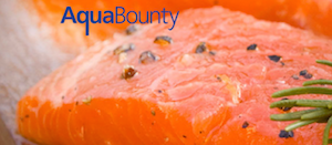 AquAdvantage_Salmon